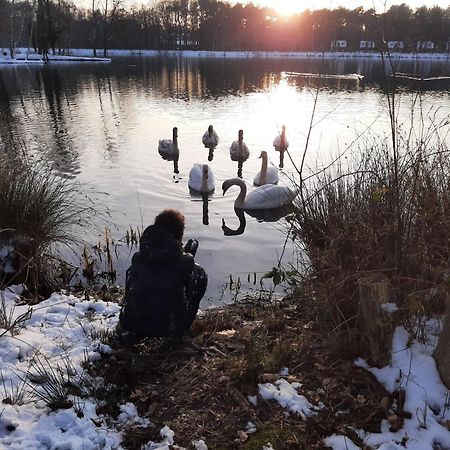 Willa Waterlelie 34 Rekem Zewnętrze zdjęcie